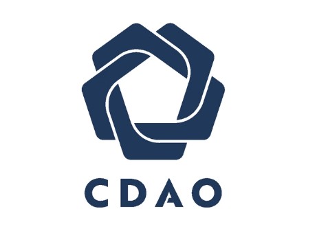 Chief Digital and AI Office (CDAO)